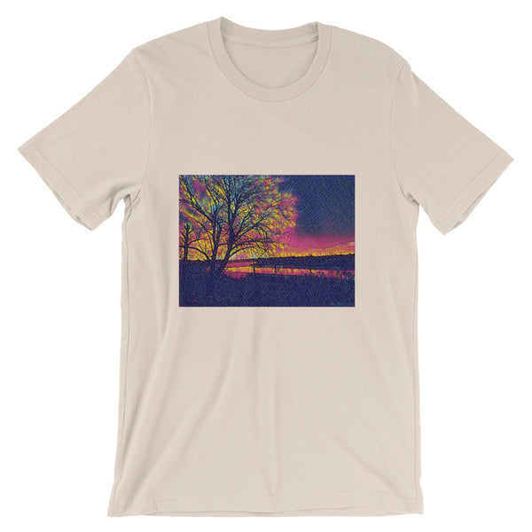Unisex short sleeve t-shirt (St. Louis, MI)