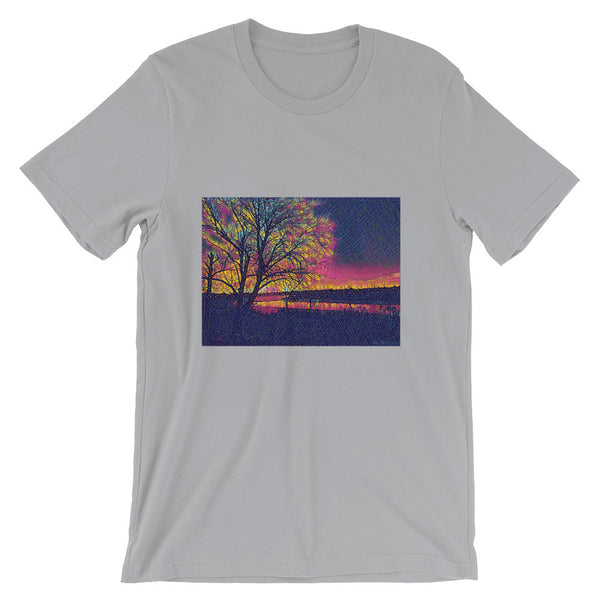 Unisex short sleeve t-shirt (St. Louis, MI)