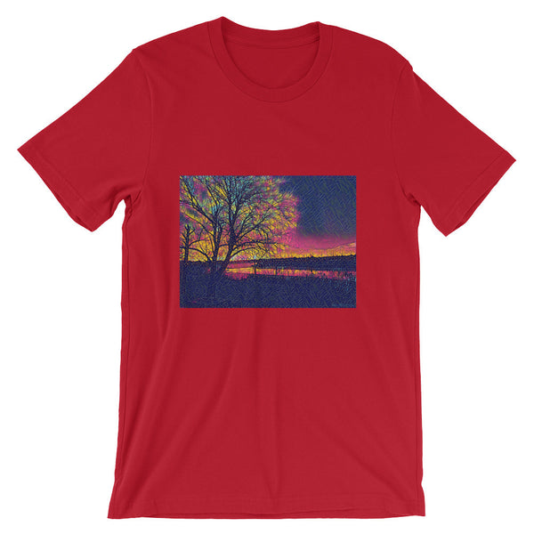 Unisex short sleeve t-shirt (St. Louis, MI)