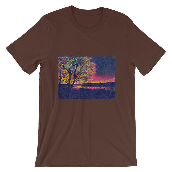 Unisex short sleeve t-shirt (St. Louis, MI)
