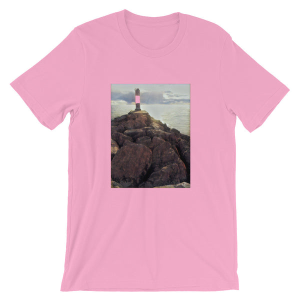 Unisex short sleeve t-shirt (Arcadia, MI)