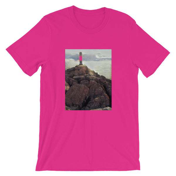 Unisex short sleeve t-shirt (Arcadia, MI)